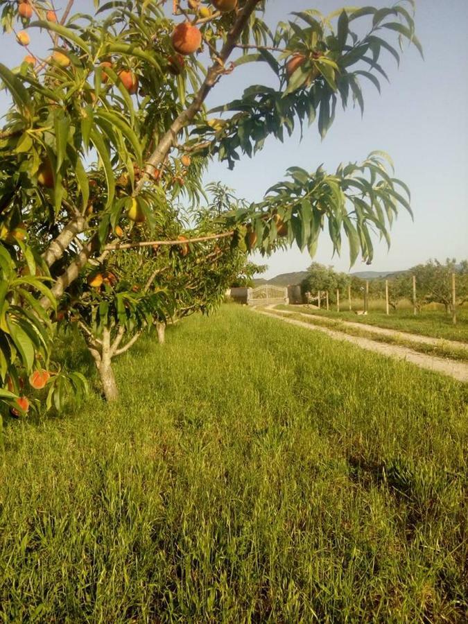 Apartamento Residenza agrituristica Santa Lucia con piscina Alguer Exterior foto