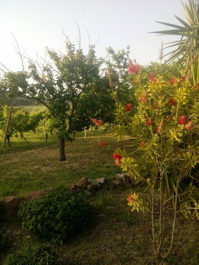 Apartamento Residenza agrituristica Santa Lucia con piscina Alguer Exterior foto